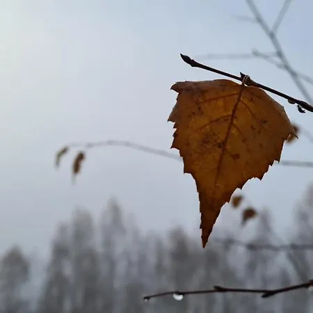 Horske Kralovsky Dvur Na Bilem Potoce 3* Hamry (Pilsen)