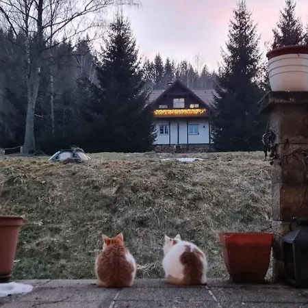 Horske Kralovsky Dvur Na Bilem Potoce Gasthof